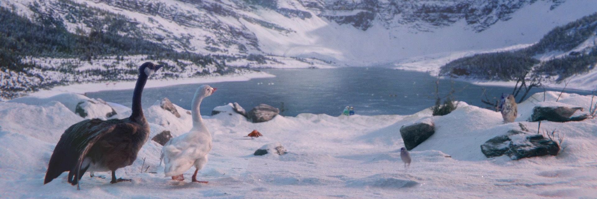 Tim Hortons launches holiday TV commercial and children's book "A Nest in the North," with 100% of the proceeds from book sales being donated to the UN Refugee Agency
